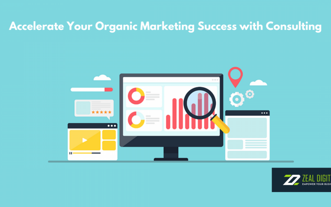Accelerate Your Organic Marketing Success with Consulting